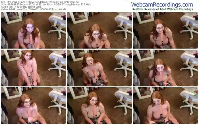 2024/08/28/streamate-ohdelaney-22-42-13