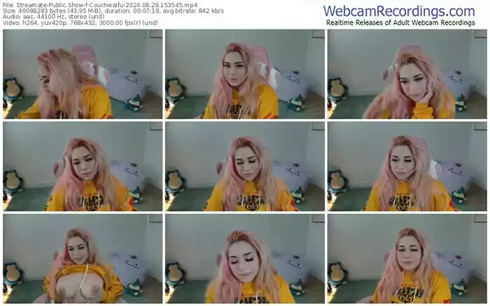 2024/08/29/streamate-couchwaifu-15-35-45