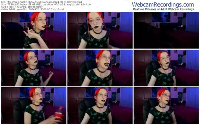 2024/08/29/streamate-nikkinorwalk-00-20-39