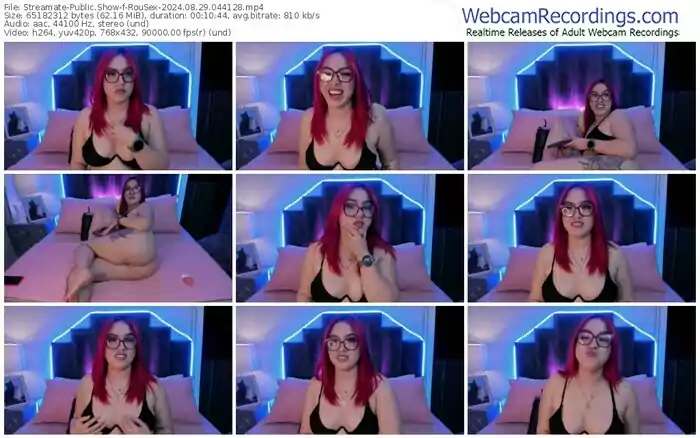 2024/08/29/streamate-rousex-04-41-28