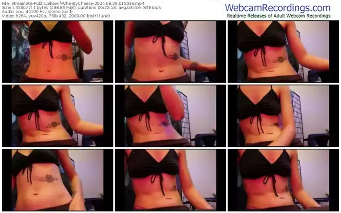 2024/08/29/streamate-wheezycheese-01-53-36