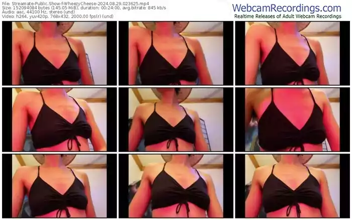 2024/08/29/streamate-wheezycheese-02-36-25