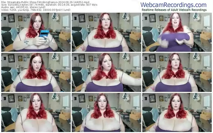 2024/08/29/streamate-winkingdaisys-14-40-52