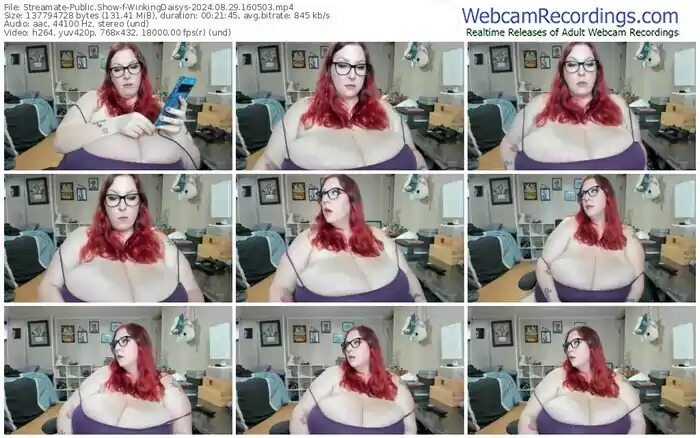 2024/08/29/streamate-winkingdaisys-16-05-03