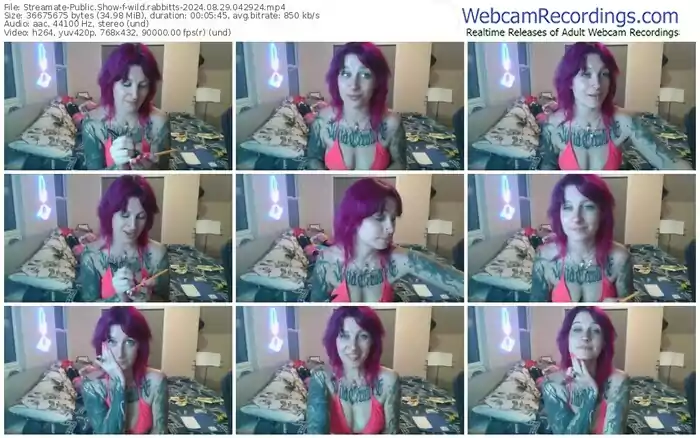 2024/08/29/streamate-wild.rabbitts-04-29-24