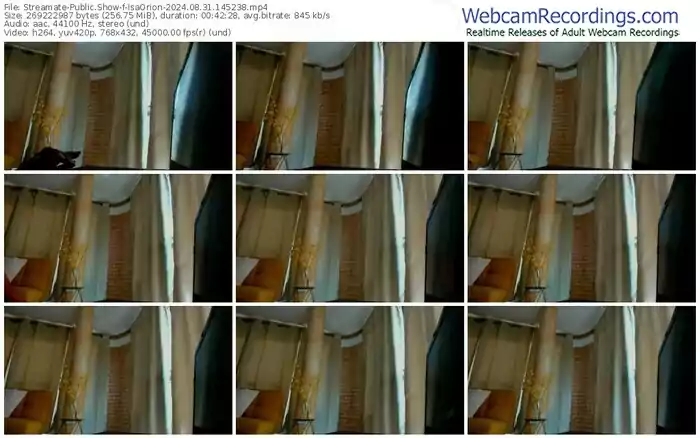 2024/08/31/streamate-isaorion-14-52-38