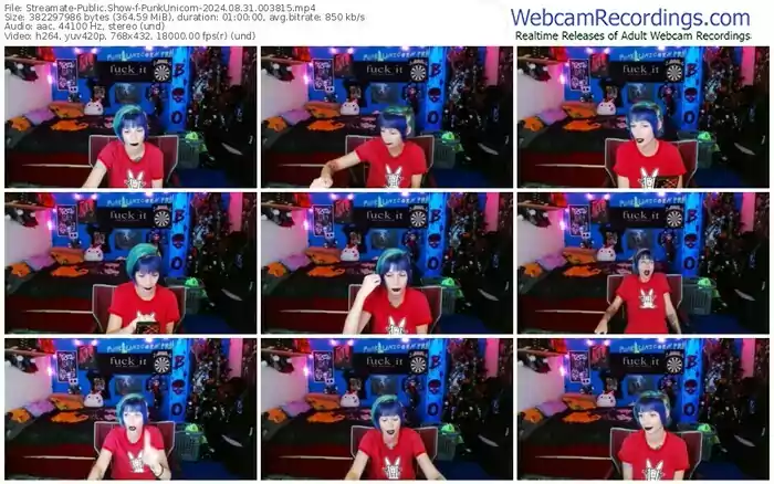 2024/08/31/streamate-punkunicorn-00-38-15