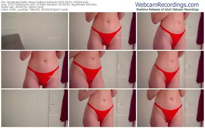 2024/08/31/streamate-sabina_karlsson-19-23-18