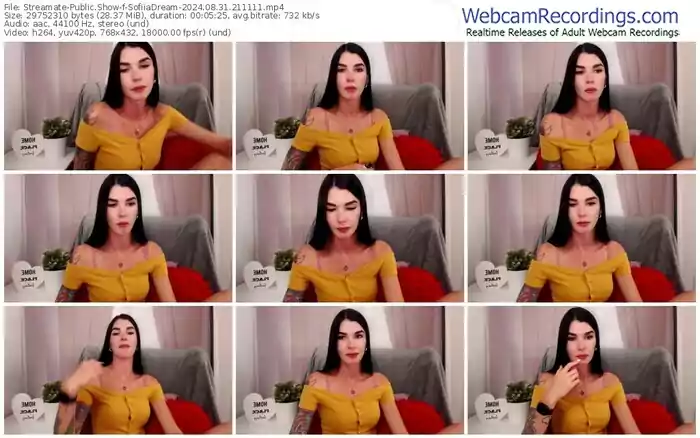 2024/08/31/streamate-sofiiadream-21-11-11