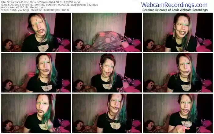 2024/08/31/streamate-zaturn-12-38-51