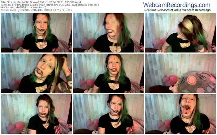 2024/08/31/streamate-zaturn-13-56-01