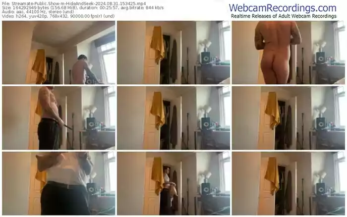 2024/08/31/streamate-hideandseek-15-34-25