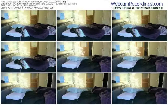 2024/09/01/streamate-baileyskyes-09-47-37