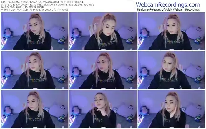 2024/09/01/streamate-couchwaifu-08-31-10