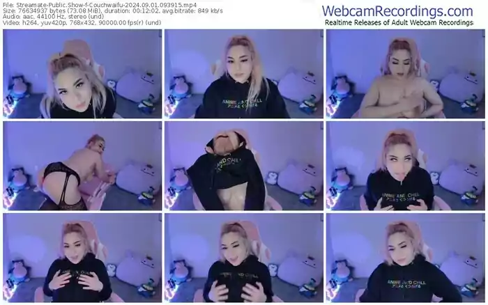 2024/09/01/streamate-couchwaifu-09-39-15