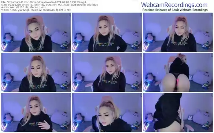 2024/09/01/streamate-couchwaifu-11-32-29