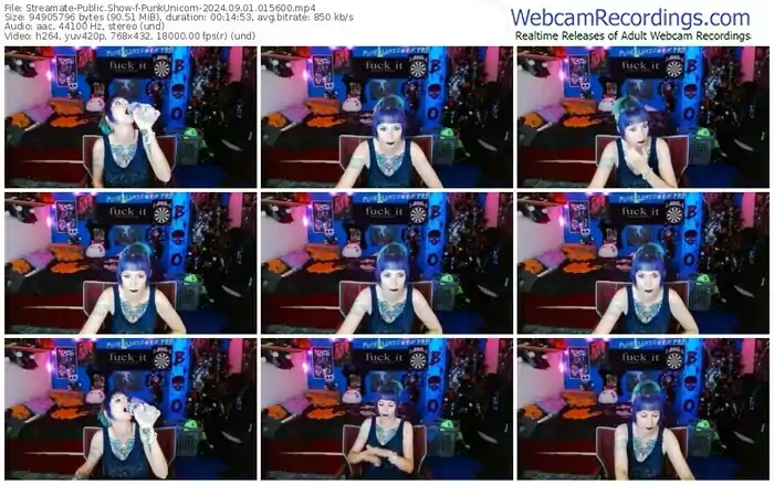 2024/09/01/streamate-punkunicorn-01-56-00