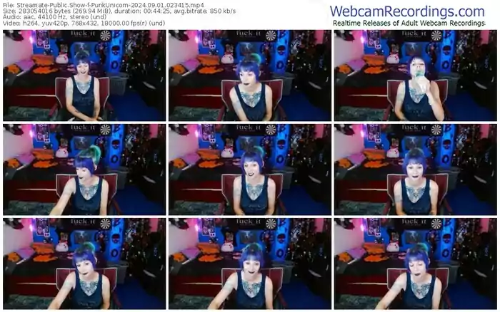 2024/09/01/streamate-punkunicorn-02-34-15