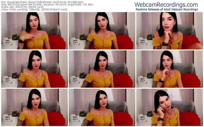 2024/09/01/streamate-sofiiadream-01-03-08