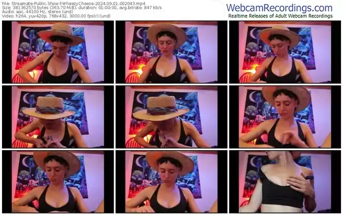 2024/09/01/streamate-wheezycheese-00-20-43