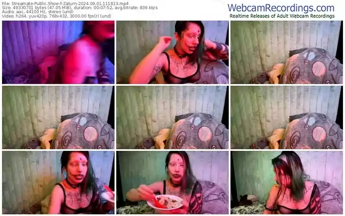 2024/09/01/streamate-zaturn-11-18-13