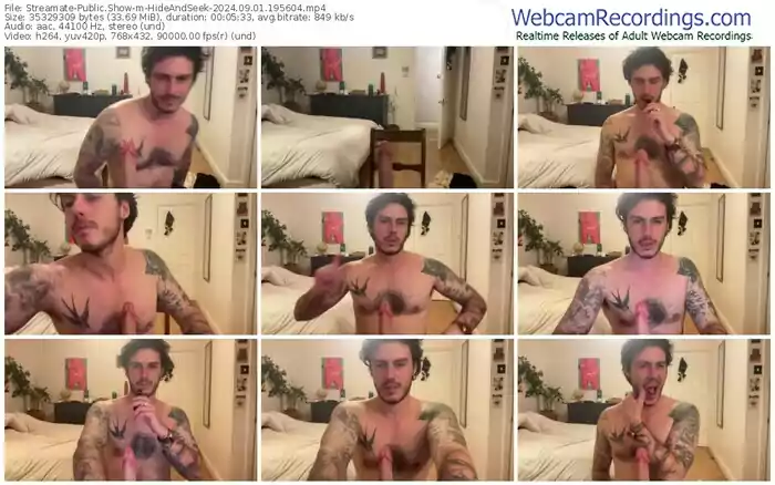 2024/09/01/streamate-hideandseek-19-56-04