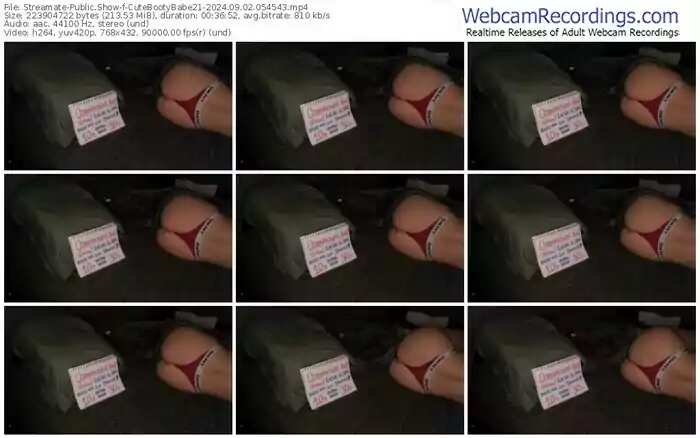 2024/09/02/streamate-cutebootybabe21-05-45-43
