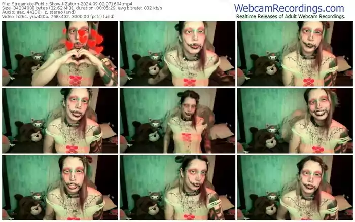 2024/09/02/streamate-zaturn-07-16-04