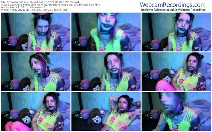 2024/09/02/streamate-zaturn-10-55-06