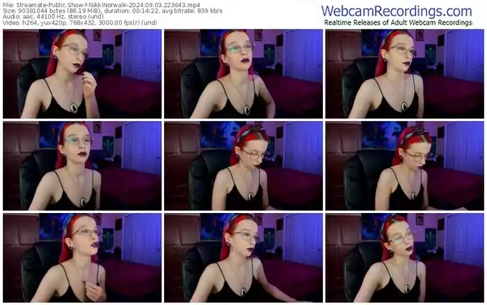 2024/09/03/streamate-nikkinorwalk-22-36-43