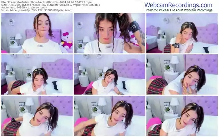 2024/09/04/streamate-abbierhondes-13-47-42