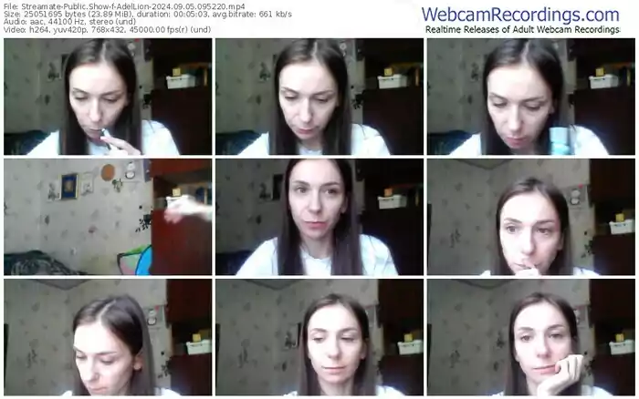 2024/09/05/streamate-adellion-09-52-20