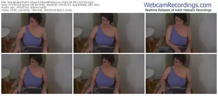 2024/09/08/streamate-dameblazeylux-10-21-42