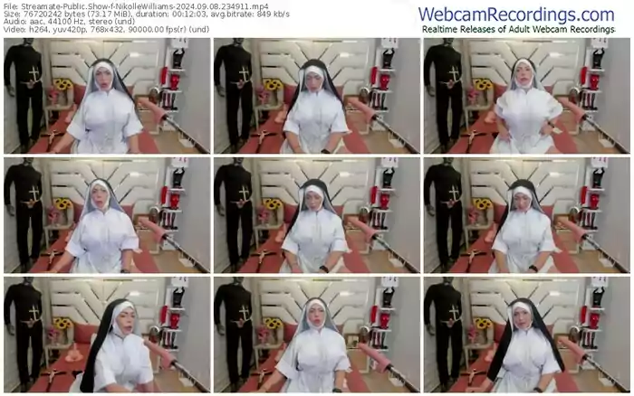 2024/09/08/streamate-nikollewilliams-23-49-11