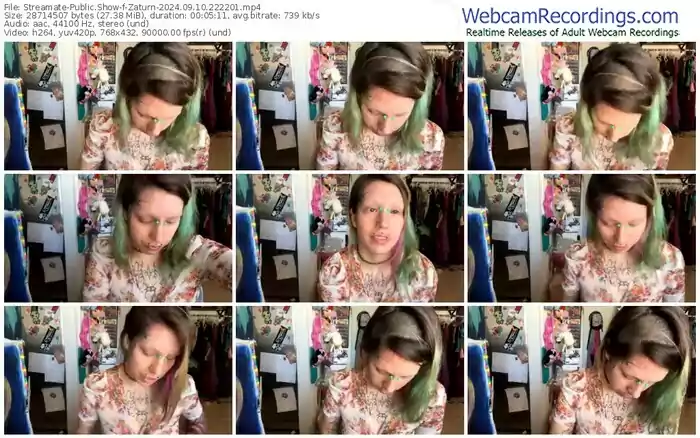 2024/09/10/streamate-zaturn-22-22-01