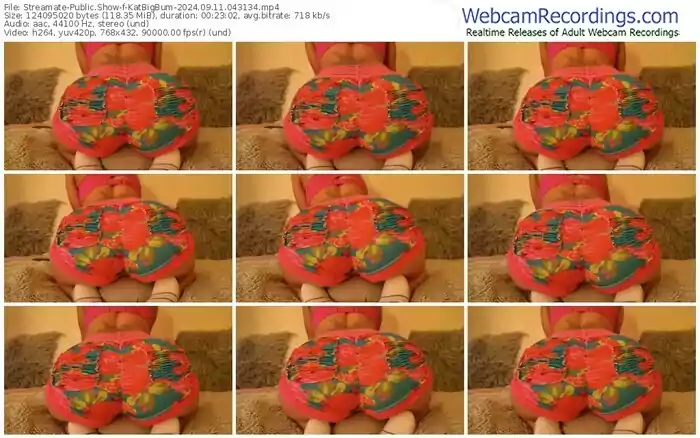 2024/09/11/streamate-katbigbum-04-31-34