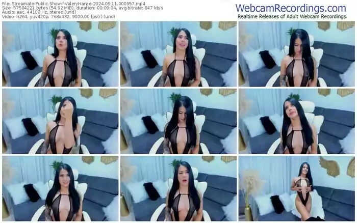 2024/09/11/streamate-valeryhanze-00-09-57