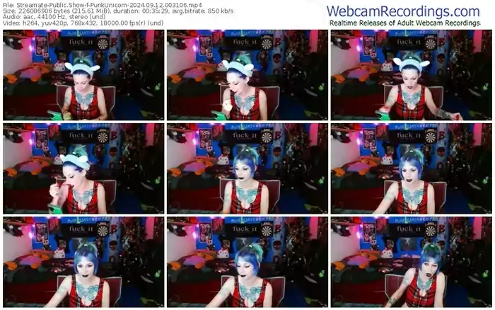 2024/09/12/streamate-punkunicorn-00-31-06