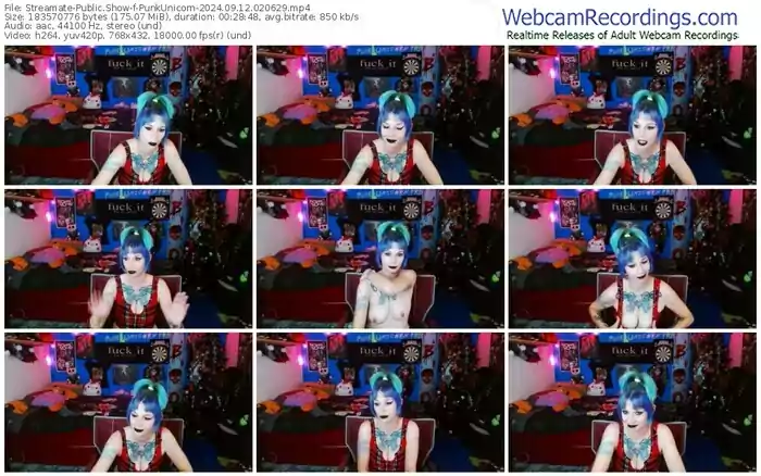 2024/09/12/streamate-punkunicorn-02-06-29