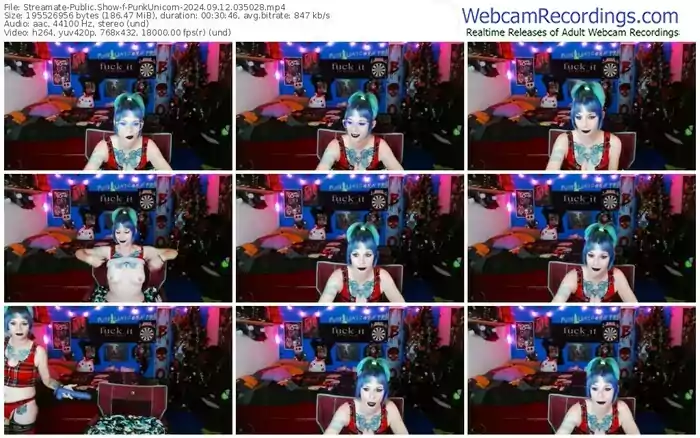 2024/09/12/streamate-punkunicorn-03-50-28