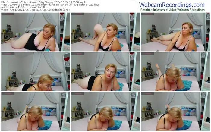 2024/11/24/streamate-fairycheery-12-33-08