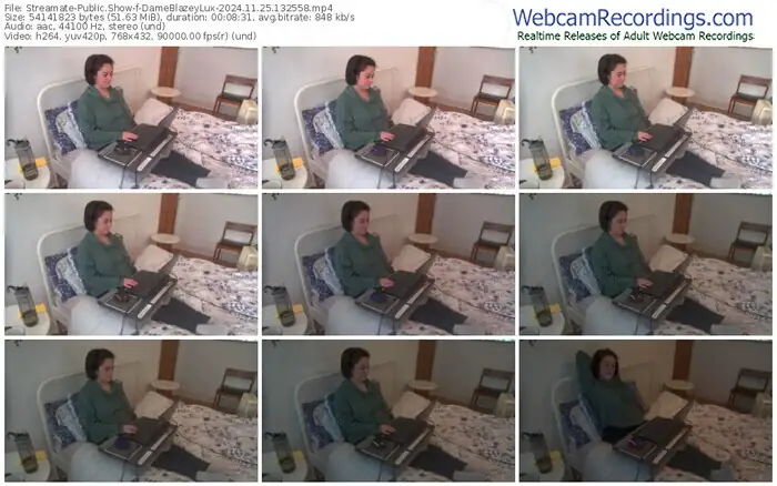 2024/11/25/streamate-dameblazeylux-13-25-58