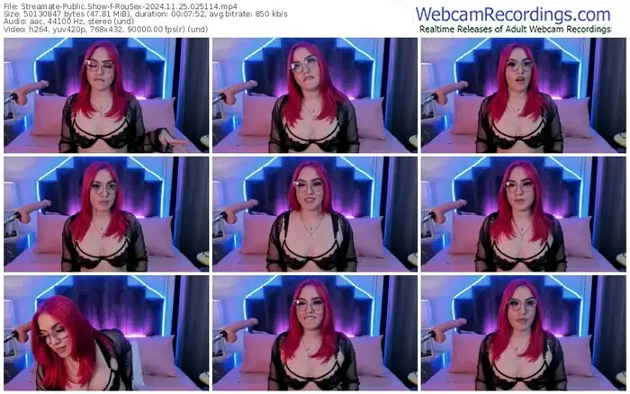 2024/11/25/streamate-rousex-02-51-14