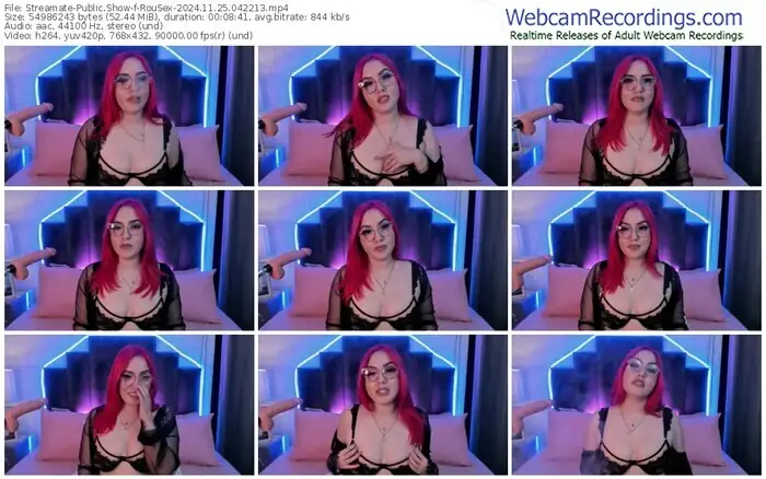 2024/11/25/streamate-rousex-04-22-13