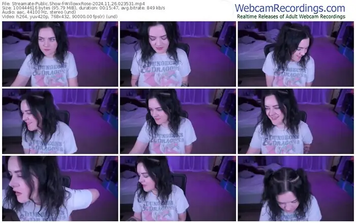 2024/11/26/streamate-willowxrose-02-35-31