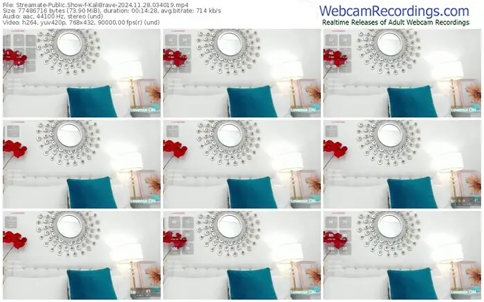 2024/11/28/streamate-kalibrave-03-40-19