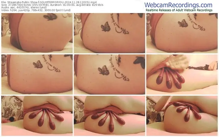 2024/11/28/streamate-squirterforyou-12-01-51