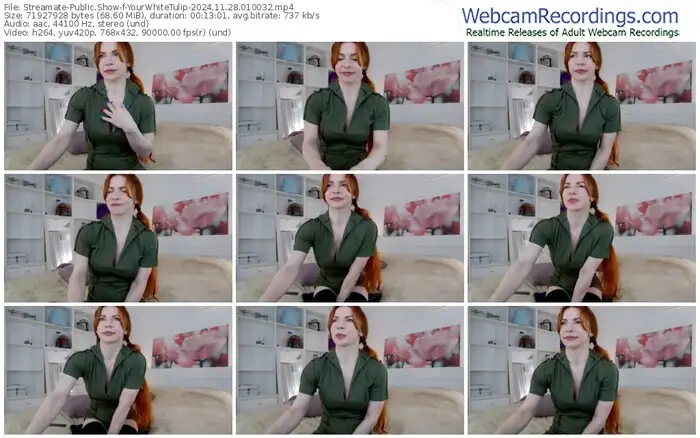 2024/11/28/streamate-yourwhitetulip-01-00-32