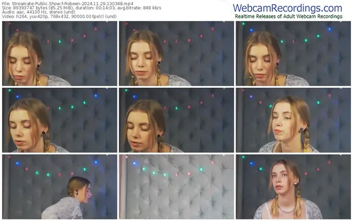 2024/11/29/streamate-robeen-13-03-48