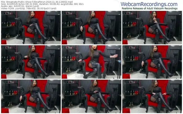 2024/11/30/streamate-almaperun-12-48-02